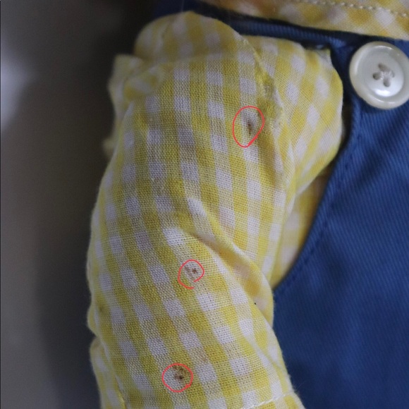 Berenstain Bears Vintage 1984 Plush Papa Bear with Original Tags - Picture 10 of 11